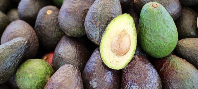 Israel, Kenia And Peru: The Leading Avocado Suppliers To Russia