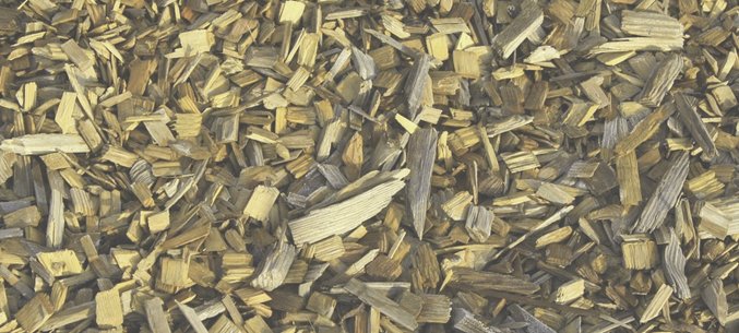 Kaliningrad Starts Exporting Wood Chip to the Czech Republic