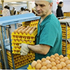 Barkhatovskaya Poultry Farm to purchase German equipment