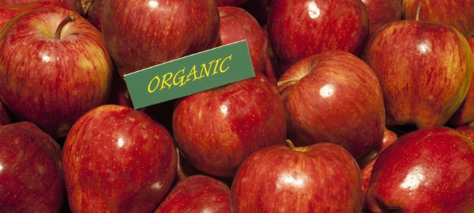 Russia sets standards for organic food production