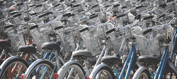 Moscow City & Region, Perm Territory Become Leaders of Bicycle Exports