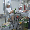 Hochland will expand its Production Lines in the Belgorod Region for RUR 1.4 billion