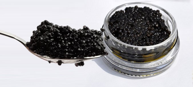Russias Sturgeon Caviar Import Is Twice As Much As Its Export 