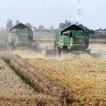 German investor intending to grow wheat in Kaliningrad Region