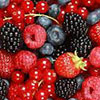 Iranian investors intend to embark on berry growing in Bryansk Region