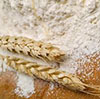 Authorities looking for an investor to invest in flour milling facilities in the Kaliningrad Region 