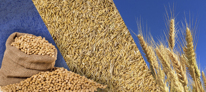 China Has Authorized Wheat and Soy Imports from The Russia
