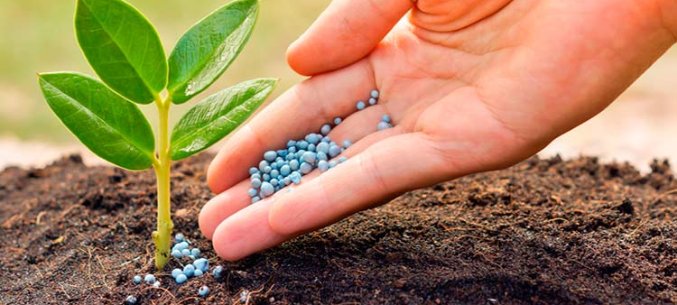 Saratov Region Is The Largest Exporter Of Nitrogen-Phosphate Fertilizer