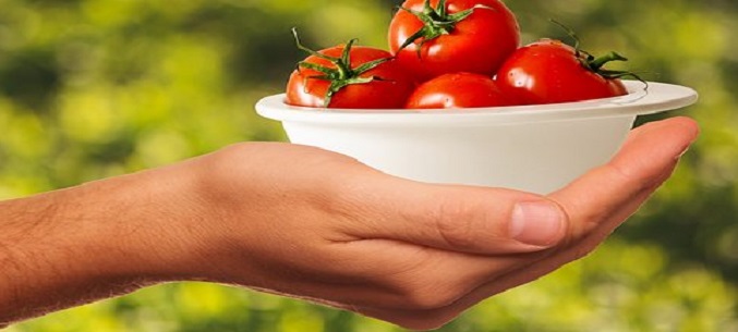 Russia retains top spot as largest market for Turkish tomatoes