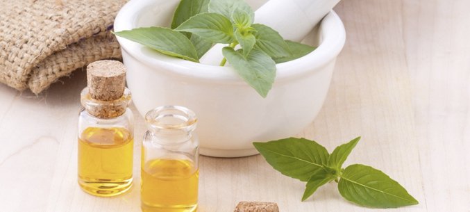 Indias Supplies Of Peppermint Essential Oil To Russia Increases
