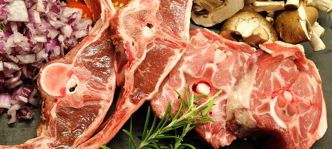 Russia And IranRussia And Iran Arranged Terms Of Supply For Meat By-Products Arranged Terms Of Supply For Meat By-Products
