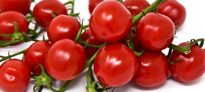 Russian watchdog authorized four more Turkish companies to supply tomatoes to Russia
